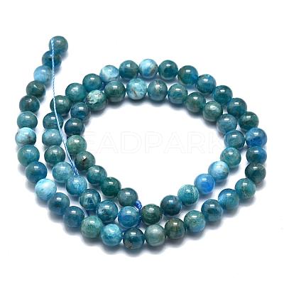 Natural Apatite Beads Strands G-O186-E02-6mm-1