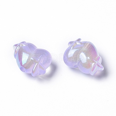 Transparent Acrylic Beads LACR-K004-03-1