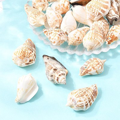 Natural Conch Shell Beads BSHE-O007-57-1