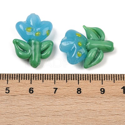 Handmade Lampwork Beads LAMP-S070-04F-1
