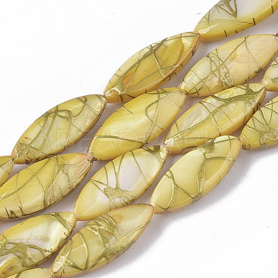 Drawbench Freshwater Shell Beads Strands X-SHEL-T014-008B-05-1