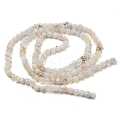 Natural Rainbow Moonstone Beads Strands X-G-A097-A02-03-1