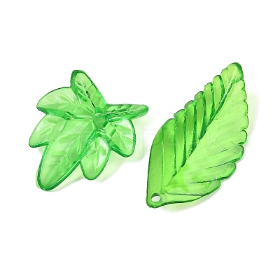 Transparent Acrylic Pendants OACR-G056-01A-1