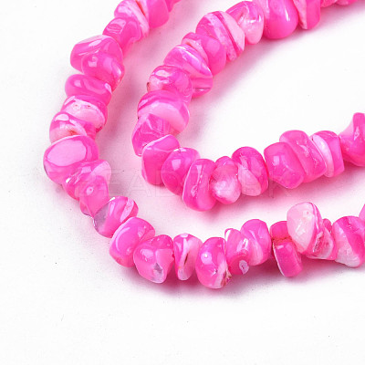 Natural Freshwater Shell Beads Strands SHEL-N003-23-B05-1
