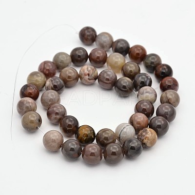 Natural Petrified Wood Round Beads Strands G-P101-01-6mm-1