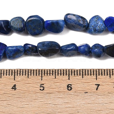 Natural Lapis Lazuli Beads Strands G-P597-B01-01-1