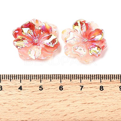 Luminous Resin Cabochons LS-RESI-E033-02H-1
