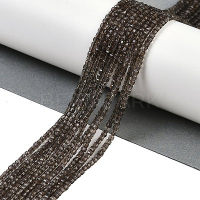 Natural Smoky Quartz Beads Strands G-P553-E06-01-1