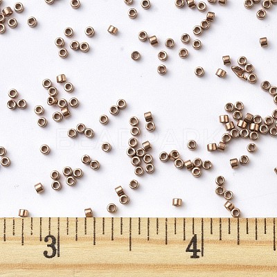 MIYUKI Delica Beads X-SEED-J020-DB0040-1