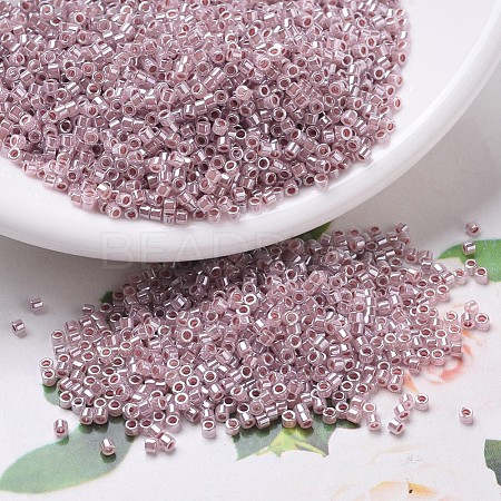 MIYUKI Delica Beads SEED-X0054-DB0256-1