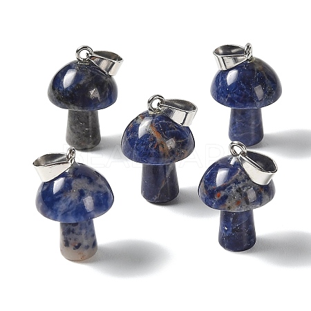 Natural Sodalite Pendants GG-CBAA0EE-05P-19-1