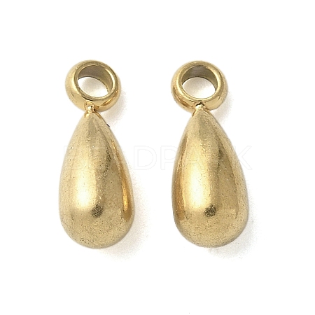 304 Stainless Steel Charms STAS-U037-18G-1