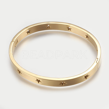 304 Stainless Steel Bangles BJEW-P192-13G-1