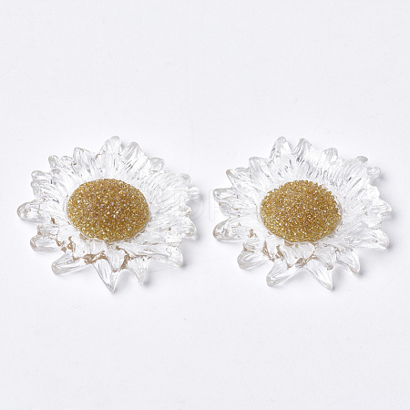 Resin Cabochons CRES-Q206-02-1