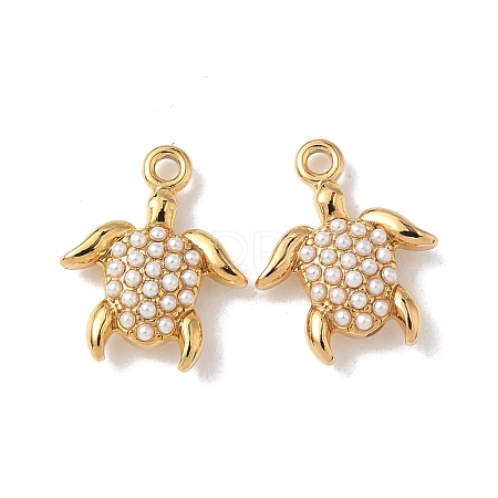 304 Stainless Steel Charms STAS-H483-26D-G-1