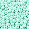 Baking Paint Glass Seed Beads SEED-B001-02A-14-3