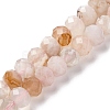 Natural Cherry Blossom Agate Beads Strands G-K380-A43-03-2