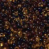 Transparent Colours Glass Seed Beads X1-SEED-P006-02A-10-3