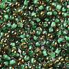 Glass Seed Beads X1-SEED-H002-B-D221-3
