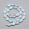 Opalite Bead Strands G-T004-22-2