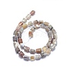 Natural Botswana Agate Beads Strands G-O170-39B-2
