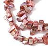 Natural Freshwater Shell Beads Strands BSHE-H018-07-4