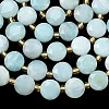 Natural Flower Amazonite Beads Strands G-C116-A183-02-4