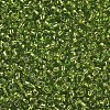 12/0 Glass Seed Beads X2-SEED-A005-2mm-24-2