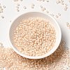 12/0 Transparent Glass Seed Beads X-SEED-F003-03C-12-2
