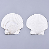 Natural Shell Beads SSHEL-S258-72-1