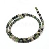 Natural Moss Agate Round Bead Strands G-P072-01-6mm-2