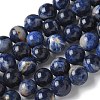 Natural South Africa Sodalite Beads Strands G-S259-35-10mm-2