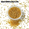 200G Glass Seed Beads SEED-YW0002-85A-1