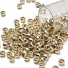 TOHO 3/0 Round Beads SEED-TR03-PF0558-1