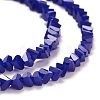 Glass Beads Strands GLAA-L031-01-C16-2