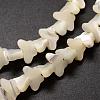 Natural Trochid Shell/Trochus Shell Beads Strands SSHEL-K011-02-3