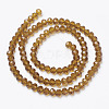 Glass Beads Strands EGLA-A034-T4mm-D02-2