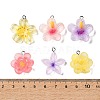 Transparent Resin Pendants RE-A001-01-3