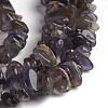 Natural Iolite Beads Strands G-D0002-C48-3