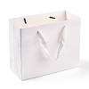 Rectangle Paper Bags with Rope Handles CARB-L011-02A-06-4