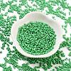 Baking Paint Glass Seed Beads SEED-A033-05Q-2