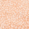 Baking Paint Glass Seed Beads SEED-L011-09A-11-3