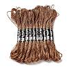 10 Skeins 12-Ply Metallic Polyester Embroidery Floss OCOR-Q057-A13-1
