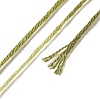 10 Skeins 6-Ply Polyester Embroidery Floss OCOR-K006-A33-3