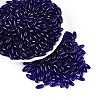 Transparent Colours Glass Seed Beads SEED-T007-16O-3