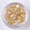 6/0 Glass Seed Beads SEED-S027-05B-01-2