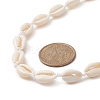 Natural Cowrie Shell & Synthetic Turquoise Braided Beaded Necklace for Women NJEW-JN04253-01-3