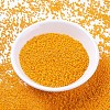 MIYUKI Delica Beads SEED-X0054-DB2103-2