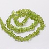 Natural Peridot Chip Bead Strands X-G-M298-12-2