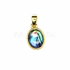 Natural Abalone Shell Charms PW-WG4179D-01-1